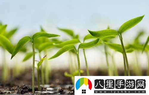 黎明殺機風暴污泥效果介紹