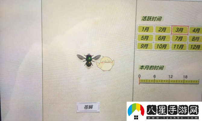 動(dòng)物森友會(huì)蒼蠅捕捉攻略