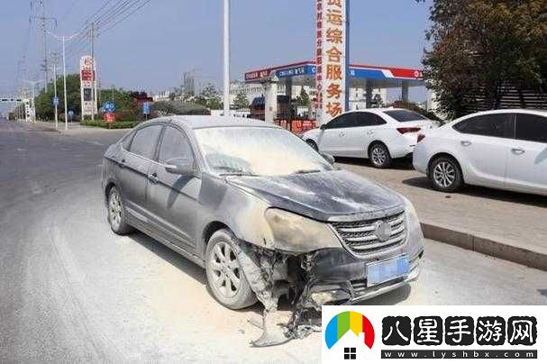 豐年經繼拇中文