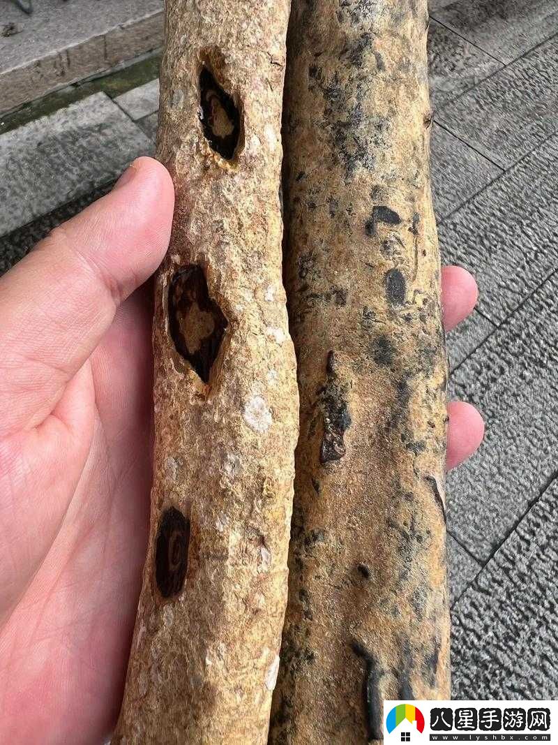 成品人