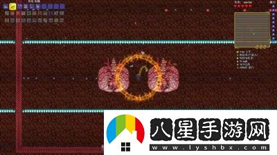 泰拉瑞亞1.4版克魯斯魚(yú)