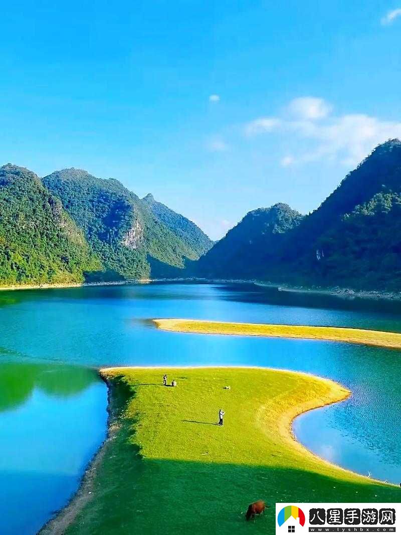 母親的桃花源流淌