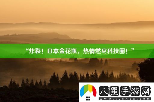 “炸裂！日本金花瓶