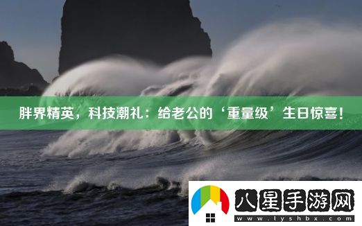 胖界精英