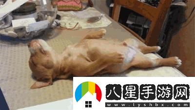 睡意朦朧卻遇巨物蠕動