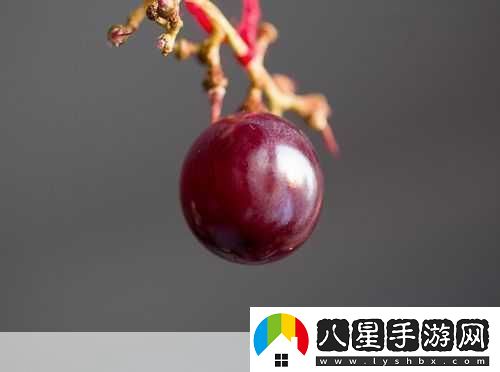 對著鏡子把葡萄一粒粒