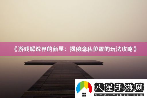 游戲解說(shuō)界的新星