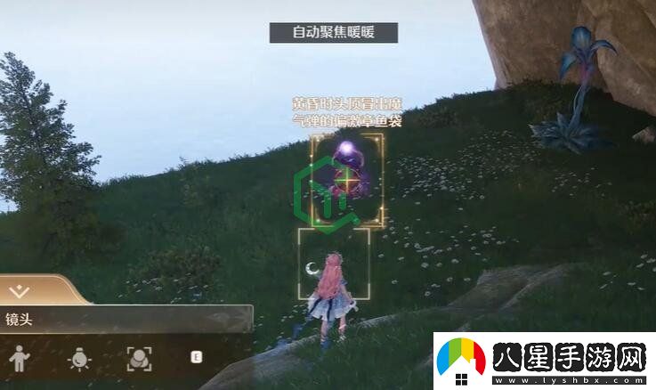 無限暖暖驚險拍攝偏激章魚任務怎么做