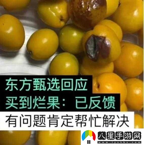 桃子移植像素侵犯后果嚴重