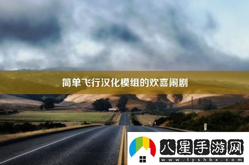 簡單飛行漢化模組的歡喜鬧劇