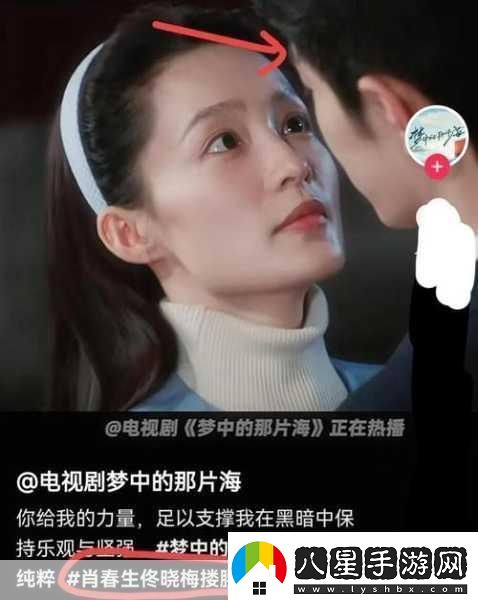 夢(mèng)中的那片海熱播