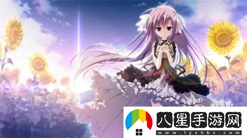 日韓一卡2卡3卡新區(qū)亂碼，解鎖新世界的虛擬樂趣與風(fēng)景