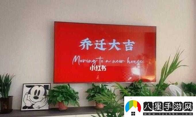吳夢(mèng)夢(mèng)婚禮伴郎試車(chē)搬家啦