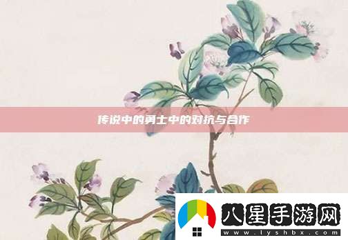傳說中的勇士中的對(duì)抗與合作