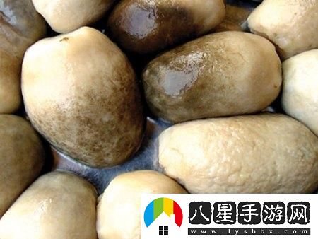 科技狂潮下的細桿橢圓頭奇跡