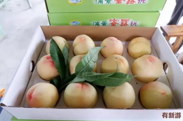 一區(qū)二區(qū)三區(qū)水蜜桃＂熱銷市場