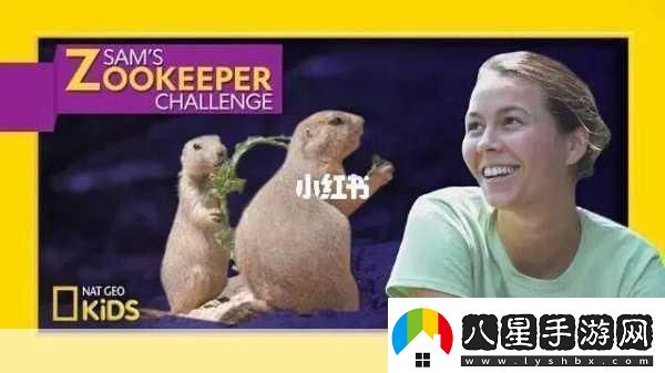 ZOOKEEPER另類探索Zookeeper的獨特應(yīng)用與挑戰(zhàn)