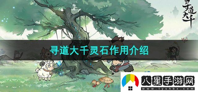 尋道大千靈石有什么用