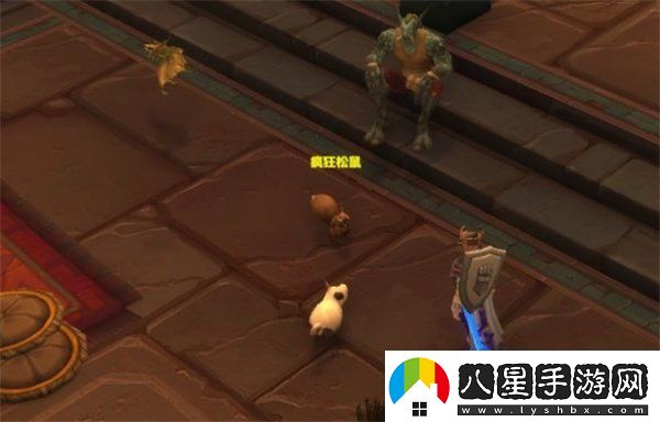 魔獸世界瘋狂松鼠NPC在哪