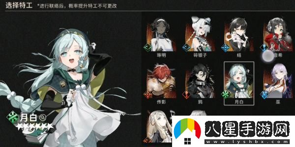 如何挑選新月同行傳影卡帶？傳影卡帶選擇技巧與推薦
