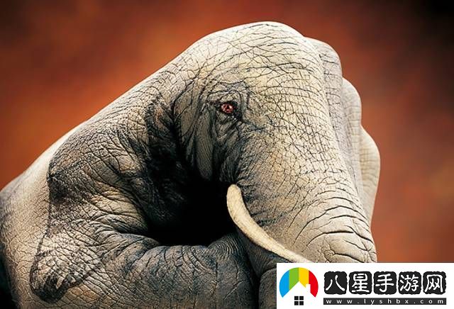 探索上色時(shí)看夜探女兒國