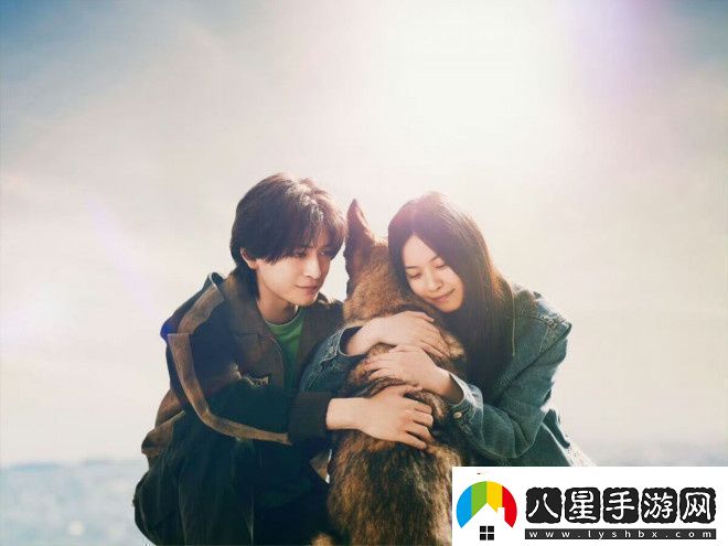 少年與犬預(yù)告首發(fā)高橋文哉主演直木獎(jiǎng)力作