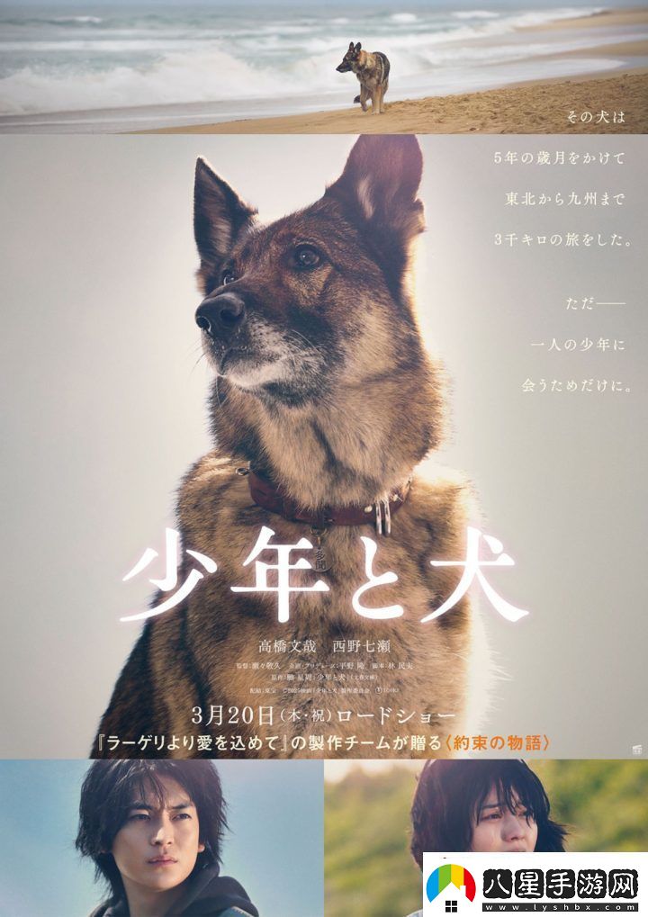 少年與犬預(yù)告首發(fā)高橋文哉主演直木獎(jiǎng)力作