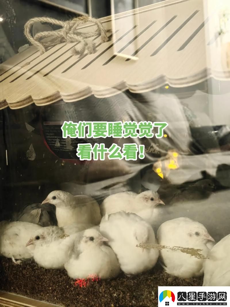 睡覺握雛雞一晚科技界炸了！