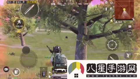 和平精英圣域寶箱在哪里圣域寶箱分布位置介紹