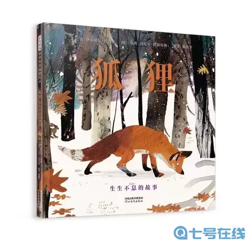 狐貍符文2022