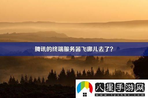騰訊的終端服務(wù)器飛哪兒去了