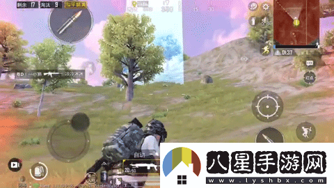 和平精英圣域寶箱在哪里圣域寶箱分布位置介紹