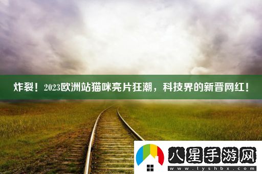 炸裂！2023歐洲站貓咪亮片狂潮