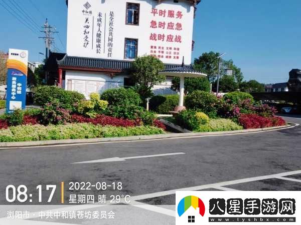 三葉草gw4334迎來一波免費
