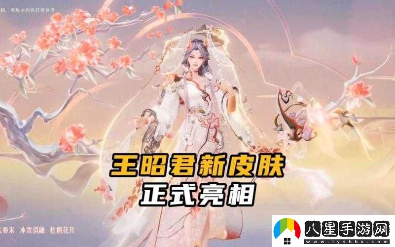 王者榮耀王昭君秒人秘籍