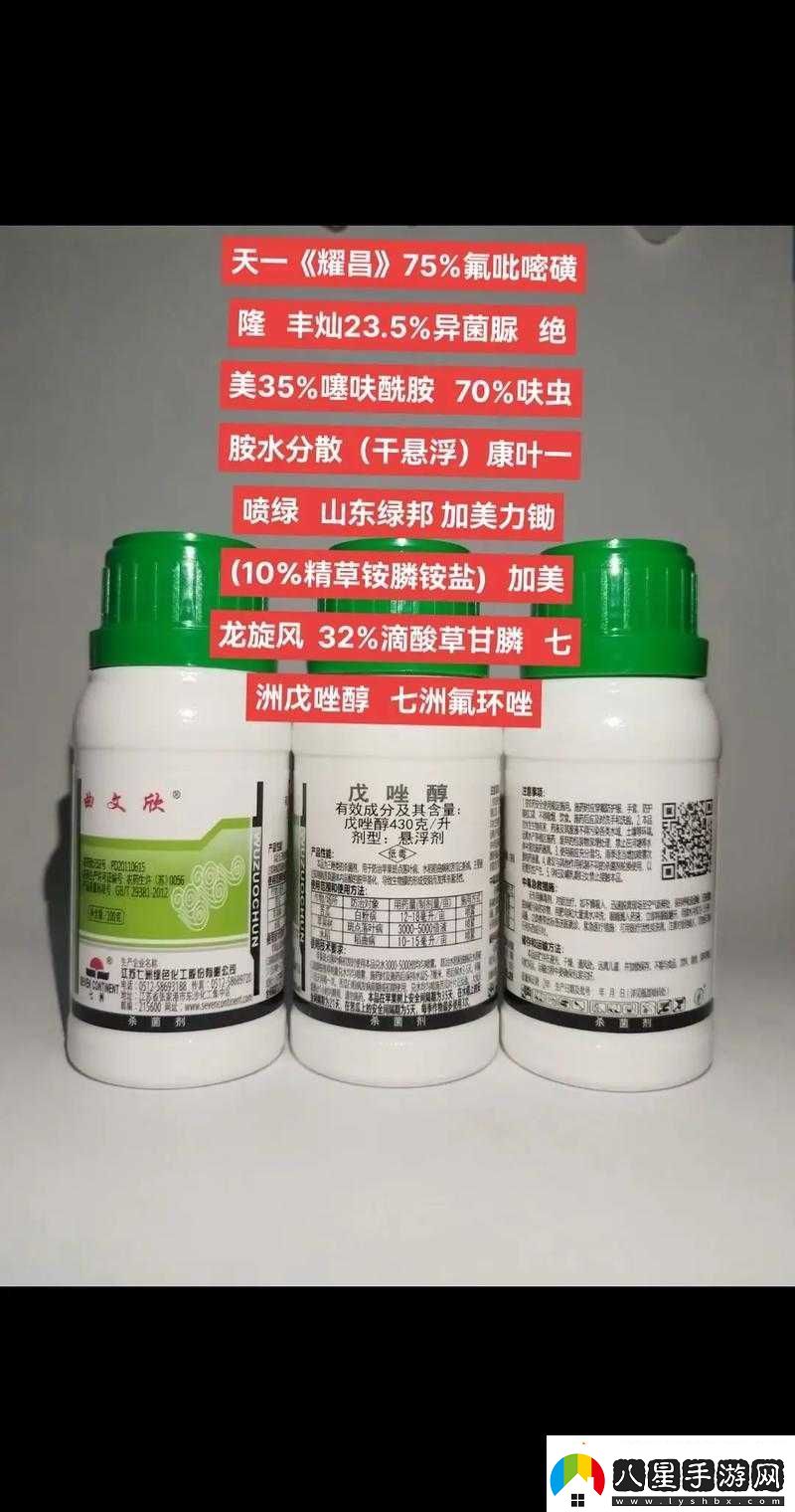 耀之洲