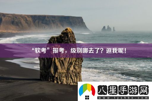 “軟考”報考