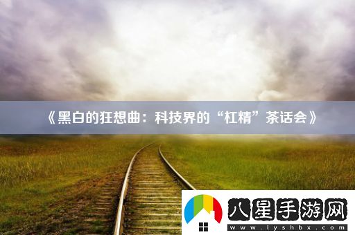 黑白的狂想曲