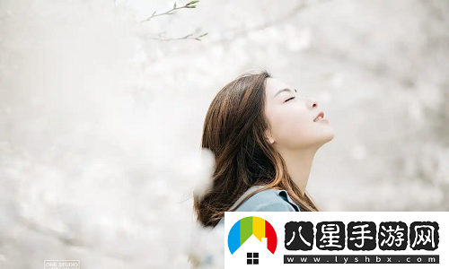 免費(fèi)網(wǎng)站在線觀看人數(shù)在哪電視劇