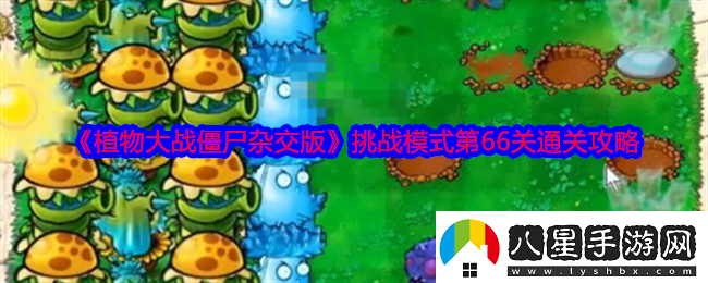 植物大戰(zhàn)僵尸雜交版挑戰(zhàn)模式第66關(guān)怎么過關(guān)