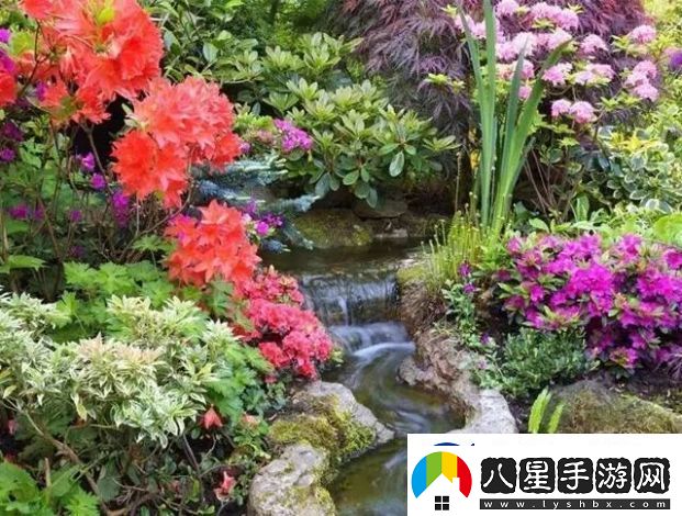 小寶探花