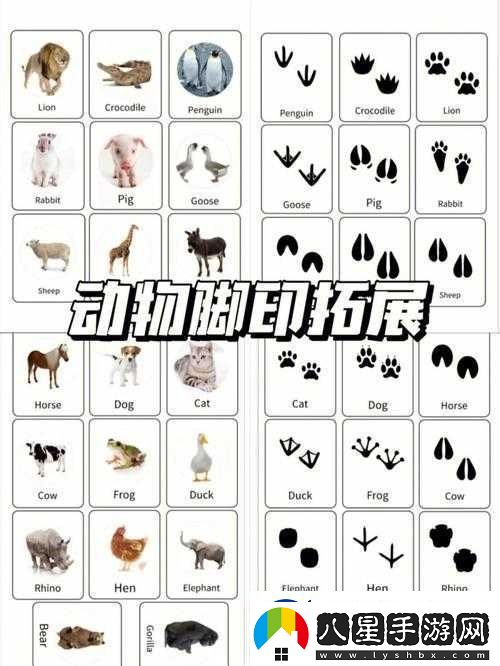 逗趣國(guó)冒險(xiǎn)之旅
