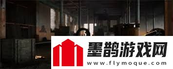 潛行者2輻射狀態(tài)如何解除潛行者2輻射效果治療與應(yīng)對方法
