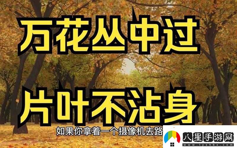 武林外傳手游萬花叢中過片葉不沾身稱號的獲取秘籍