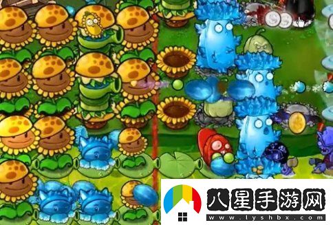 植物大戰(zhàn)僵尸雜交版63關(guān)怎么過(guò)