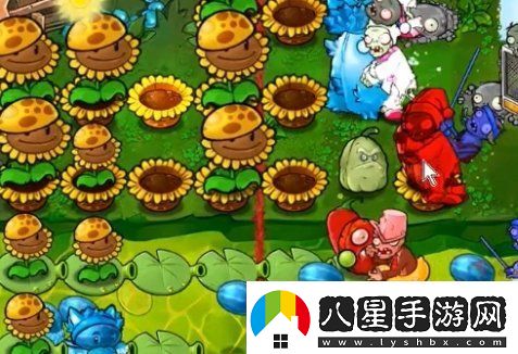 植物大戰(zhàn)僵尸雜交版63關(guān)怎么過(guò)