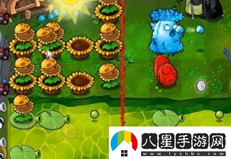 植物大戰(zhàn)僵尸雜交版63關(guān)怎么過(guò)