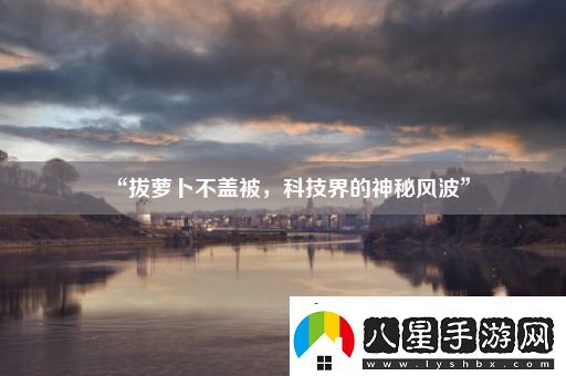 “拔蘿卜不蓋被