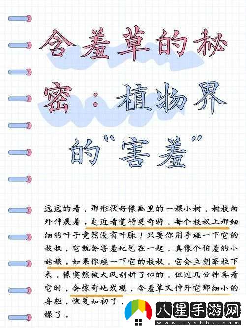 含羞草在線視頻