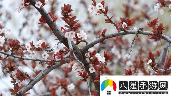 亞洲尺碼日本尺碼專線